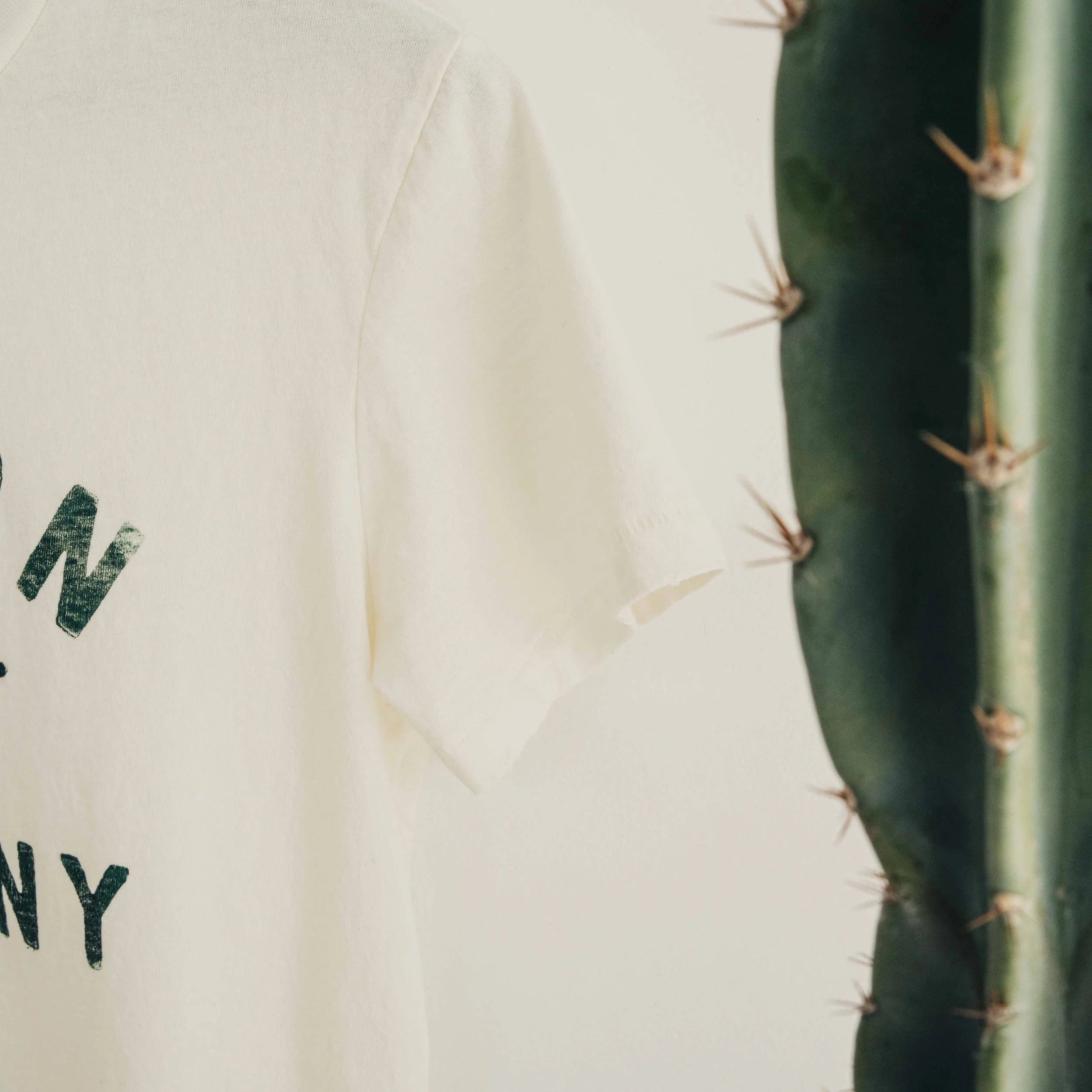The Common Company T-Bird Tee